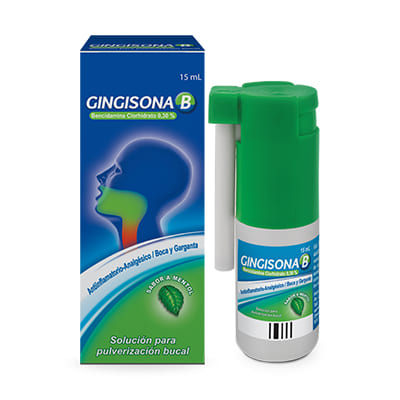 GINGISONA B-0003